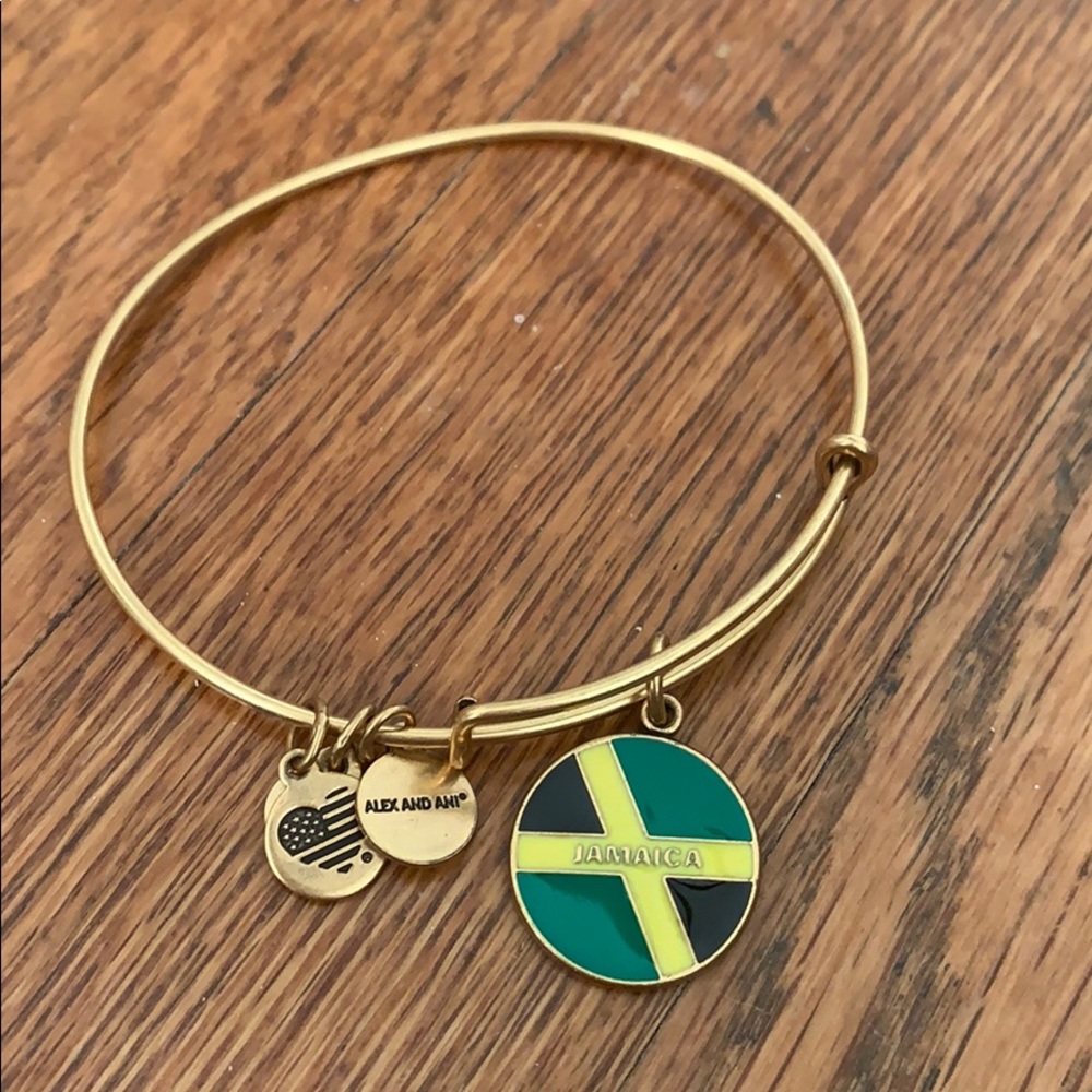 Alex and ani bracelet